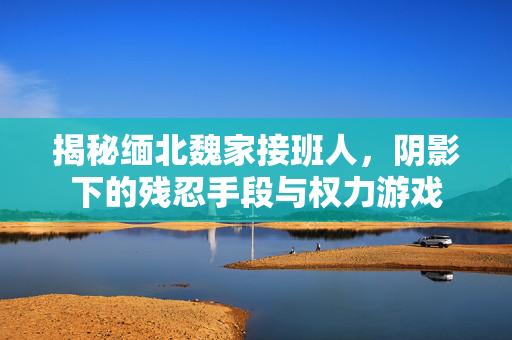 揭秘缅北魏家接班人，阴影下的残忍手段与权力游戏