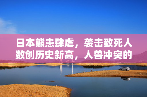 日本熊患肆虐，袭击致死人数创历史新高，人兽冲突的警钟长鸣