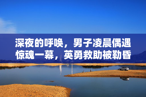 深夜的呼唤，男子凌晨偶遇惊魂一幕，英勇救助被勒昏女子