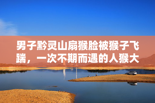 男子黔灵山扇猴脸被猴子飞踹，一次不期而遇的人猴大战