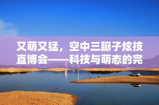 又萌又猛，空中三蹦子炫技直博会——科技与萌态的完美碰撞