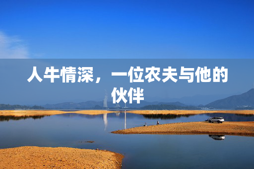 人牛情深，一位农夫与他的伙伴