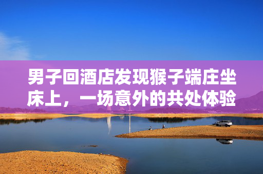 男子回酒店发现猴子端庄坐床上，一场意外的共处体验
