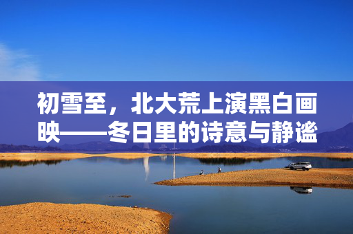 初雪至，北大荒上演黑白画映——冬日里的诗意与静谧