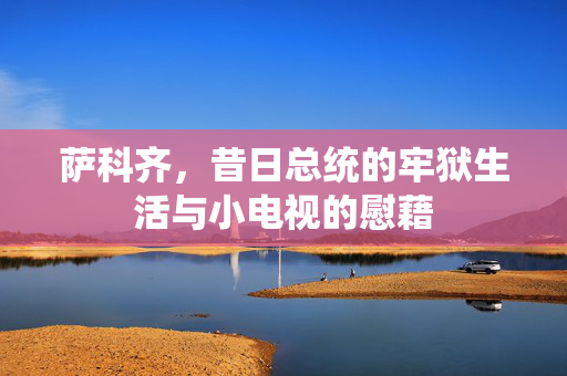 萨科齐，昔日总统的牢狱生活与小电视的慰藉