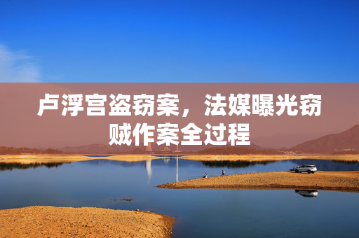 卢浮宫盗窃案，法媒曝光窃贼作案全过程