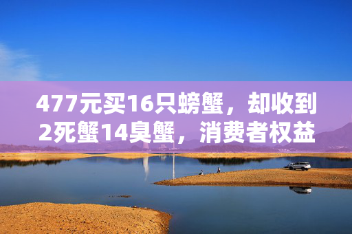 477元买16只螃蟹，却收到2死蟹14臭蟹，消费者权益的警钟