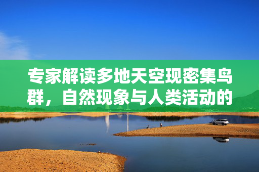 专家解读多地天空现密集鸟群，自然现象与人类活动的微妙平衡