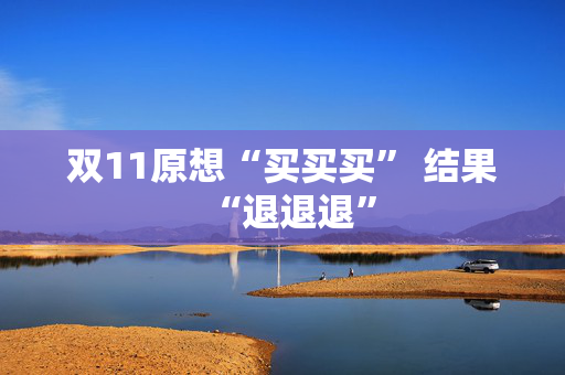 双11原想“买买买” 结果“退退退”