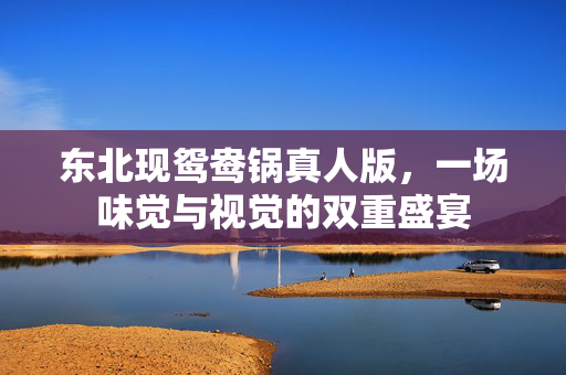 东北现鸳鸯锅真人版，一场味觉与视觉的双重盛宴