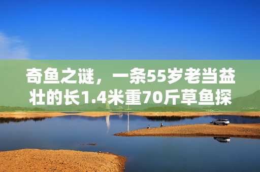 奇鱼之谜，一条55岁老当益壮的长1.4米重70斤草鱼探秘