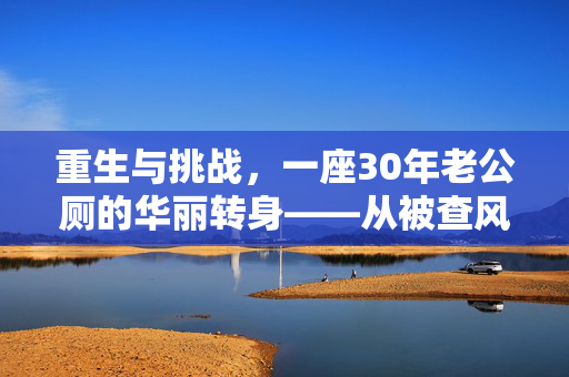 重生与挑战，一座30年老公厕的华丽转身——从被查风波看城市文化与创新的碰撞