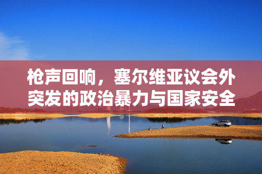 枪声回响，塞尔维亚议会外突发的政治暴力与国家安全反思