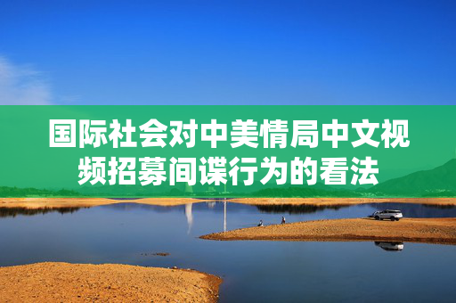 国际社会对中美情局中文视频招募间谍行为的看法