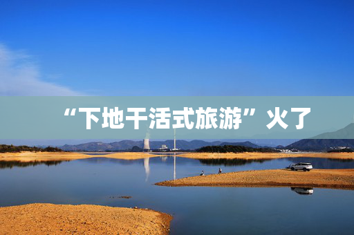 “下地干活式旅游”火了