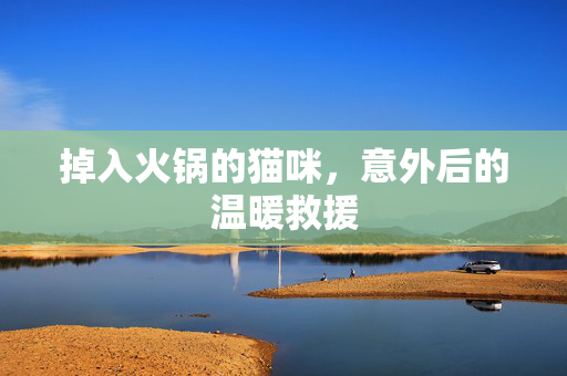 掉入火锅的猫咪，意外后的温暖救援