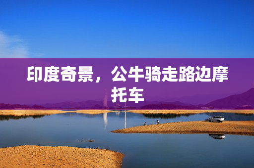 印度奇景，公牛骑走路边摩托车