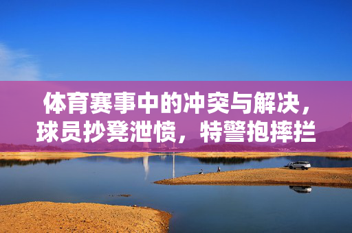体育赛事中的冲突与解决，球员抄凳泄愤，特警抱摔拦下
