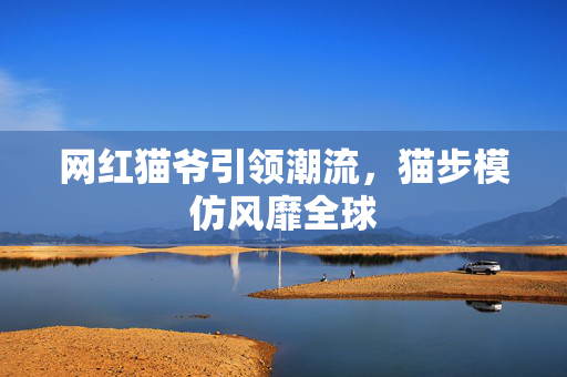 网红猫爷引领潮流，猫步模仿风靡全球