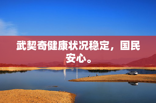 武契奇健康状况稳定，国民安心。