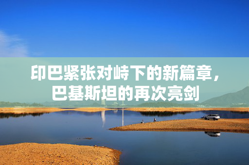印巴紧张对峙下的新篇章，巴基斯坦的再次亮剑