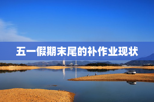 五一假期末尾的补作业现状