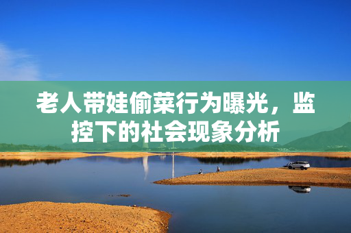 老人带娃偷菜行为曝光，监控下的社会现象分析