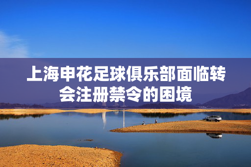 上海申花足球俱乐部面临转会注册禁令的困境