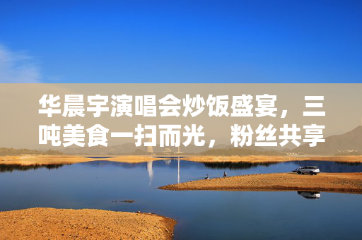 华晨宇演唱会炒饭盛宴，三吨美食一扫而光，粉丝共享盛典