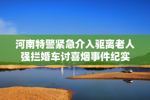 河南特警紧急介入驱离老人强拦婚车讨喜烟事件纪实
